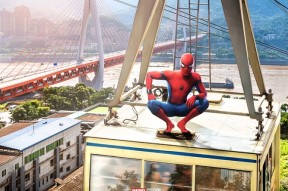 Scout在美国队比赛中败北，势不可挡引发热议！的简单介绍